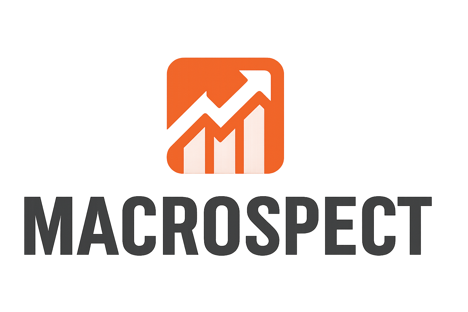 Macrospect – Finance Systems Implementation Expert